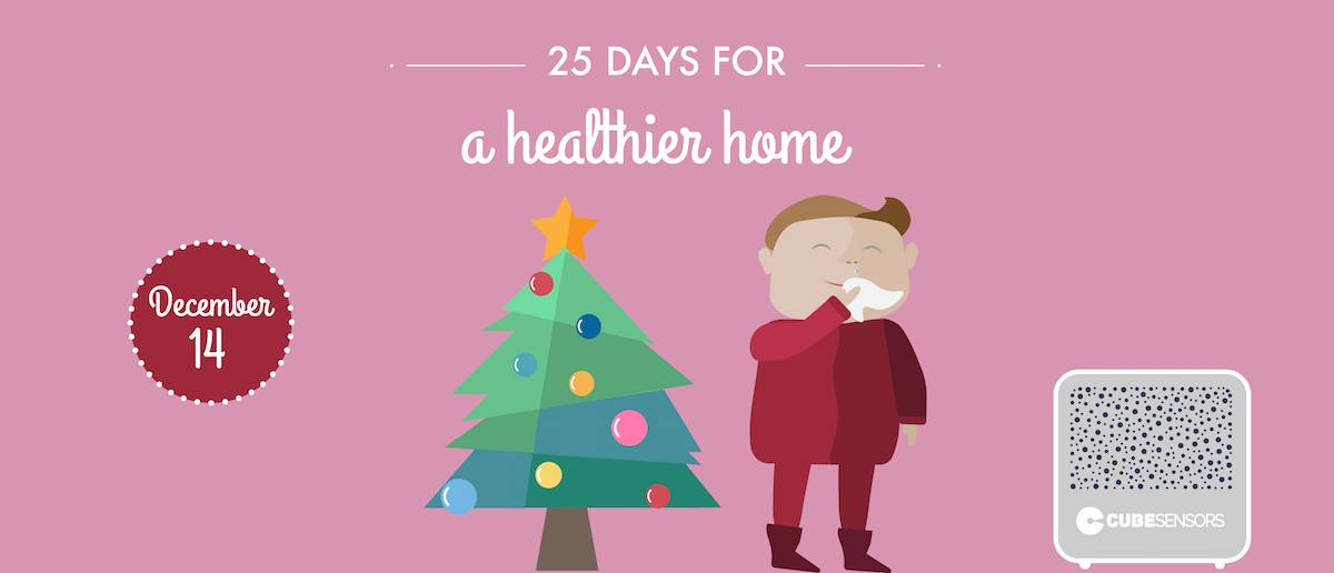 25 days for a healthier home: beware of the Christmas tree syndrome that can cause asthma attacks